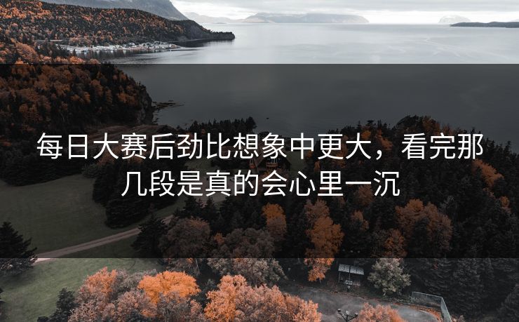 每日大赛后劲比想象中更大，看完那几段是真的会心里一沉