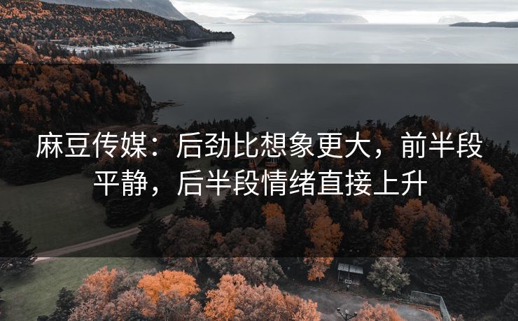 麻豆传媒：后劲比想象更大，前半段平静，后半段情绪直接上升